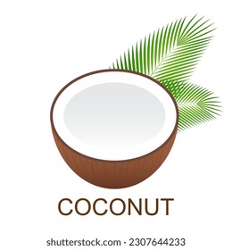 Coconut Logo. Coconut Icon Symbol. Vector Illustration Isolated on White Background.
