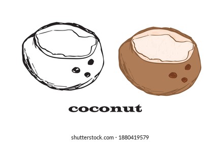 coconut logo. set of freehand illustrations of black and white and color cartoon version. simple graphic art coconut. tattoo. stickers. hand draw. vector