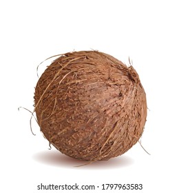 Coconut low poly. Fresh, nutritious and tasty Coconut. Symbols of nut. Elements for label design. Coconut in triangulation technique. 