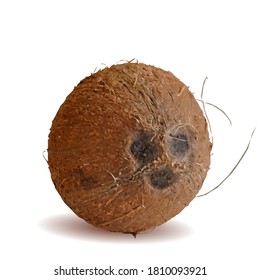 Coconut low poly. Fresh, nutritious and tasty Coconut. Symbols of nut. Elements for label design. Coconut in triangulation technique. 