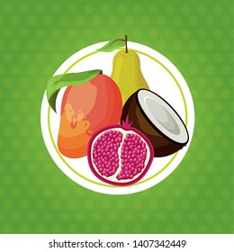 coconut mango grapefruit pear tropical fruits sticker vector illustration