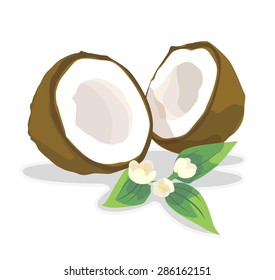 Coconut for coconut milk.