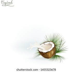 coconut  milk filling candy 3d illustration background template vector