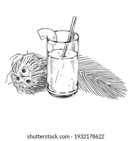 Coconut milk glass, retro hand drawn vector illustration. Coco collection - nut and leaves of palm tree, sketch vintage engraving isolated on white background.