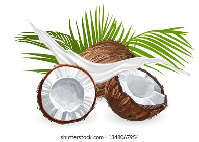 Coconut with milk splash. Fruit and yogurt. Natural fruit.