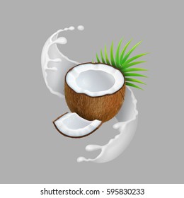 Coconut and milk splash. Natural fruit Realistic vector illustration.