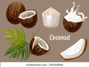 Coconut with milk splash, vector coco nut fruits with palm leaf. Whole and cracked coconut with juicy flesh meat drops for dessert, drink and oil package design