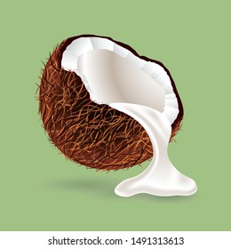 Coconut and milk splash, vector illustration.