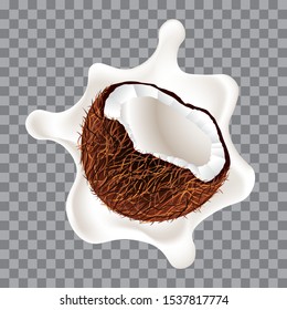 Coconut, milk splash, vector illustration.