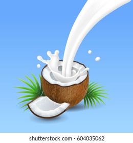 Coconut with milk splash Vector illustration