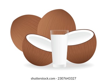 Coconut Milk with Coconut. Vector Illustration Isolated on White Background. 