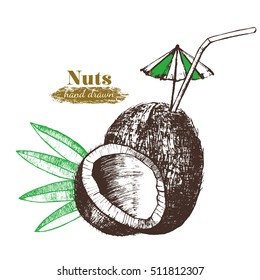 Coconut Nut Cocktail with Leaf Hand Draw Sketch. Vector illustration of exotic fruit, drink milk, tropical umbrella and drinking straw. Summer water
