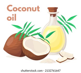 Coconut oil bottle. Cartoon coco nuts drops, beauty natural fruit white oils for skin, green extra virgin leaf palm, cocosnuss puree, isolated neat vector illustration. Bottle oil coconut, coco milk