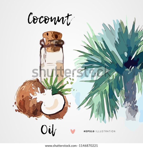 Coconut Oil Hair Skin Care Vector Stock Vector Royalty Free