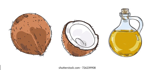 coconut and Coconut oil hand drawn vector art illustration