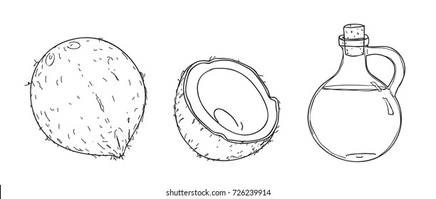 Coconut And Coconut Oil Hand Drawn Vector Line Art Illustration