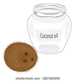 Coconut and coconut oil in a jar vector illustration on a white background