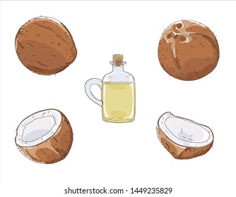 coconut oil raw set hand drawn vector elements cute art illustration