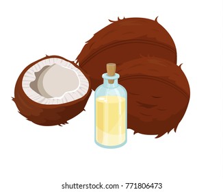 coconut oil vector
