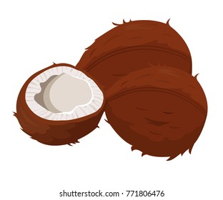 coconut oil vector
