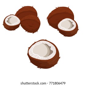 coconut oil vector
