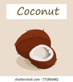 coconut oil vector
