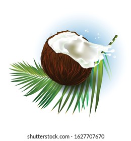 Coconut on a background of palm leaf. Vector illustration The element of design and design sites, flyers, banners, invitations.