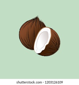 Coconut on green background