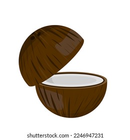 coconut on white background cartoon image.