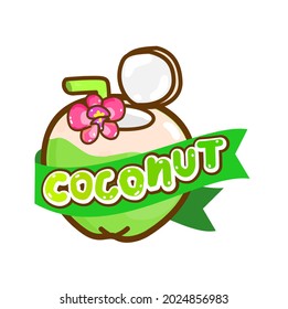 Coconut on White Background Vector