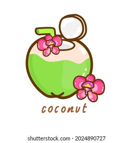 Coconut on White Background Vector