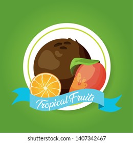 coconut orange mango tropical fruits banner sticker vector illustration