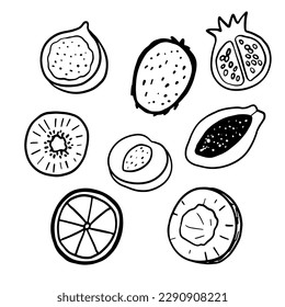 Ilustraciones de coco, naranja, melocotón, kiwi. Contorno a medias lindas frutas aisladas en blanco