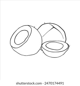 Coconut outline drawing vector illustration