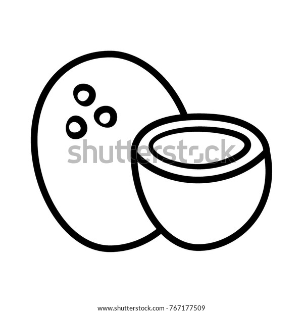 coconut outline icon stock vector royalty free 767177509 https www shutterstock com image vector coconut outline icon 767177509