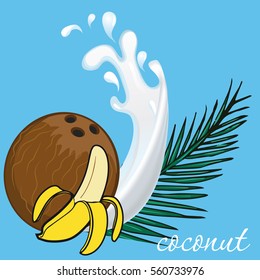 Coconut, palm branch, banana on blue background - vector illustration 