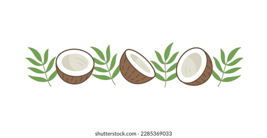 Coconut and palm branches. Vector illustration.
