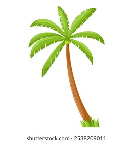 Coconut palm with grass underneath. Vector illustration. Isolated on a white background. Nature illustration