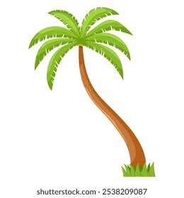 Coconut palm with grass underneath. Vector illustration. Isolated on a white background