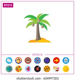 Coconut palm icon