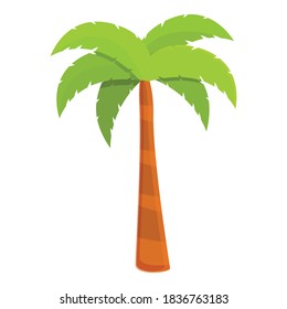 Coconut palm icon. Cartoon of coconut palm vector icon for web design isolated on white background
