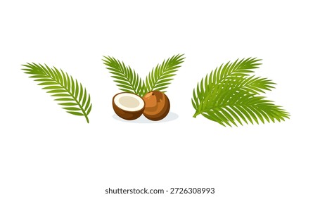 Conjunto de ilustración de hoja de coco y palma con frutas de coco frescas y hojas de palma verde. Ideal para diseño tropical, temas de verano, imágenes de playa, conceptos de naturaleza y marca de alimentos o bebidas.