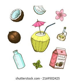 Coconut and palm leaf, Milk packaging, glass bottle, butter, cosmetic cream jar, cocktail with umbrella. Vintage style. Tropical food illustration