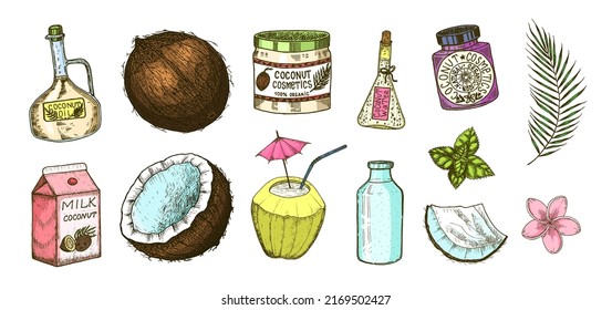Coconut and palm leaf, Milk packaging, glass bottle, butter, cosmetic cream jar, cocktail with umbrella. Vintage style. Tropical food illustration