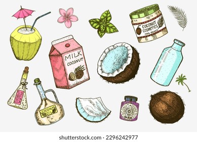 Coconut and palm leaf, Milk packaging, glass bottle, butter, cosmetic cream jar, cocktail with umbrella. Vintage style. Tropical food illustration