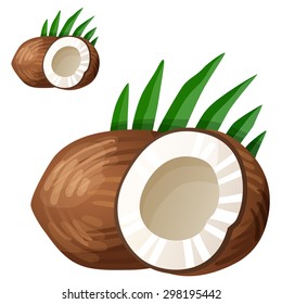 Coconut, palm leaves. Cartoon vector icon isolated on white background.