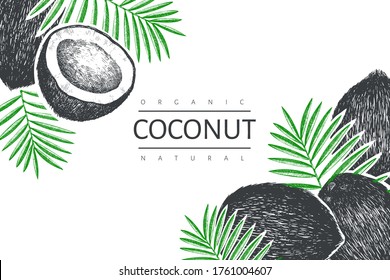 Coconut with palm leaves design template. Hand drawn vector food illustration. Engraved style exotic plant. Retro botanical tropical background.