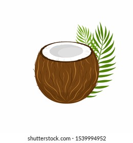 Coconut with palm leaves isolated on white background. Vector illustration