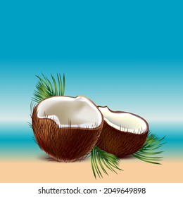 Coconut with palm leaves on a tropical beach scenery