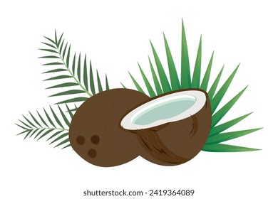 Coconut with palm leaves on a white background.
Coconut illustration. Whole and half coconut with green palm leaves. Organic, natural tropical product. Vector illustration on a white background.